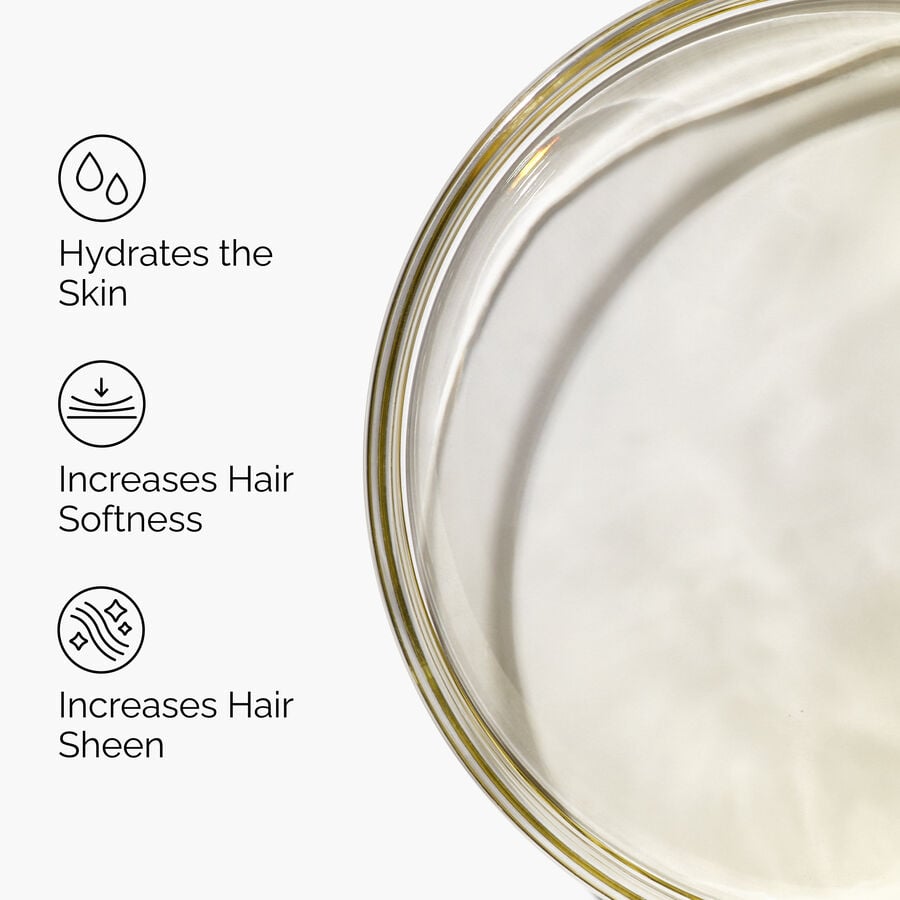 100-organic-cold-pressed-moroccan-argan-oil-x8 FY25-D41247-ORD-Web-PDP-100-Argan-Oil-1x1-EN-3.jpg