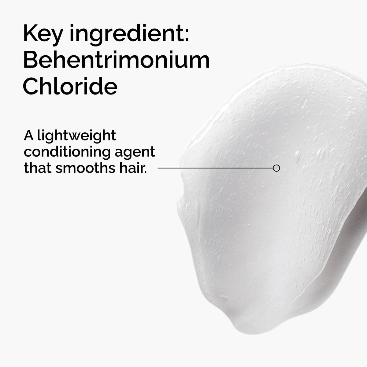 behentrimonium-chloride-2-conditioner-e9 FY25-D41247-ORD-Web-PDP-BTC-1x1-EN-2a.jpg