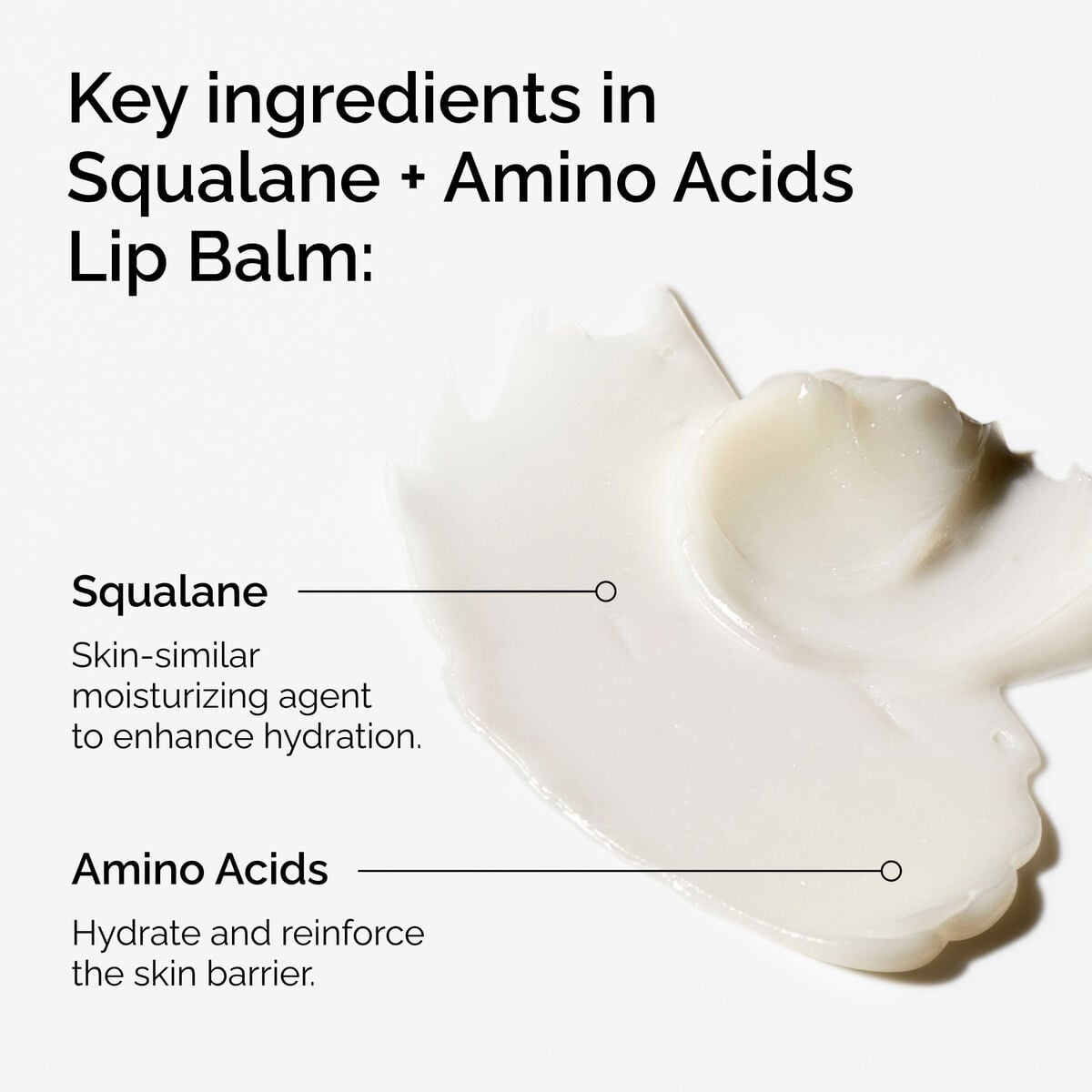 squalane-amino-acids-lip-balm-h7 FY25-D41247-ORD-Web-PDP-Sql-Amino-Lip-1x1-EN-2a.jpg