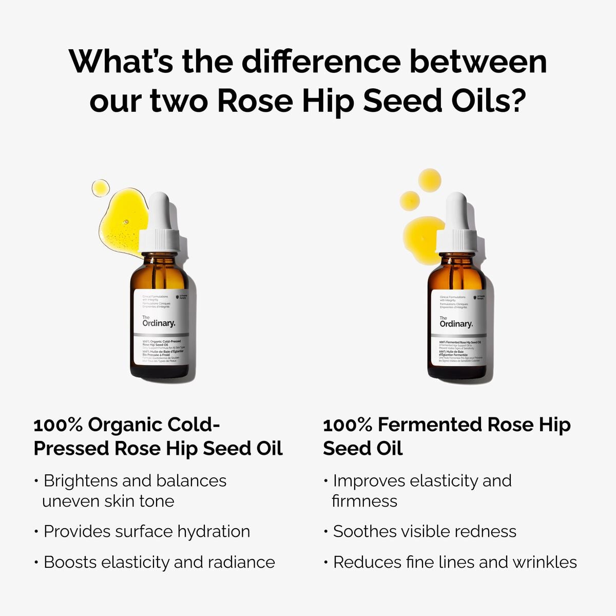 100-fermented-rose-hip-seed-oil-g0 fermented-rose-hip-vs-organic-rose-hip-graphic.jpg
