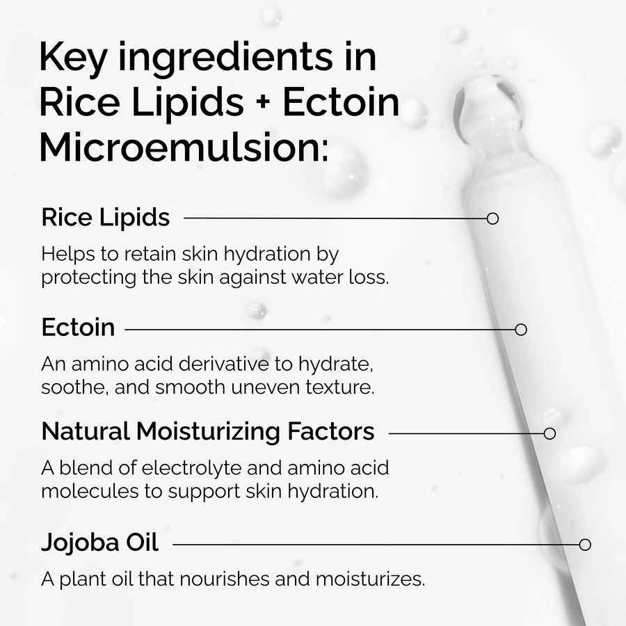 rice-lipids-ectoin-microemulsion-s7 ord-rice-lipids-ectoin-microemulsion-key-ingredients.png