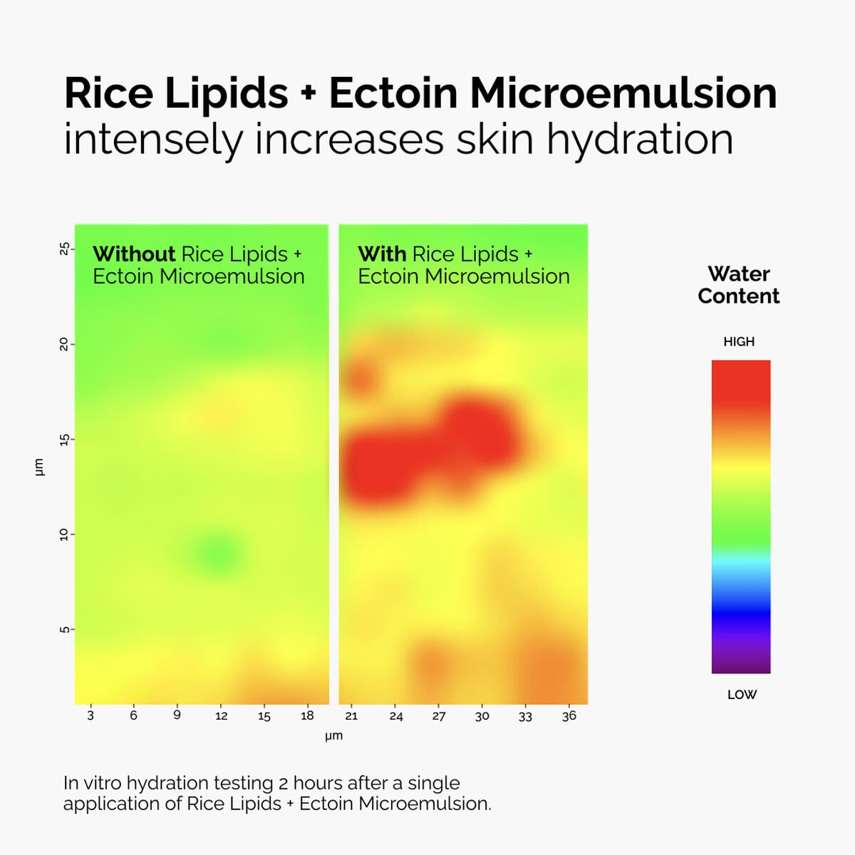 rice-lipids-ectoin-microemulsion-s7 ord-rice-lipids-ectoin-microemulsion-thermal-before-after.jpg